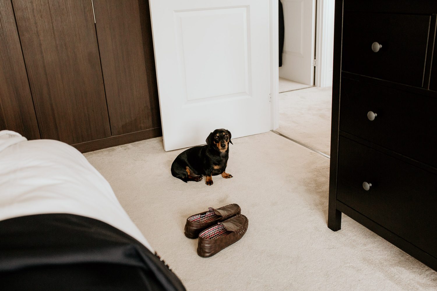 luxury manor house hotel wedding little dog