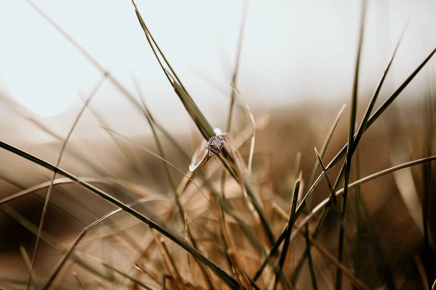 relaxed beech engagement shoot engagement ring in the long grass