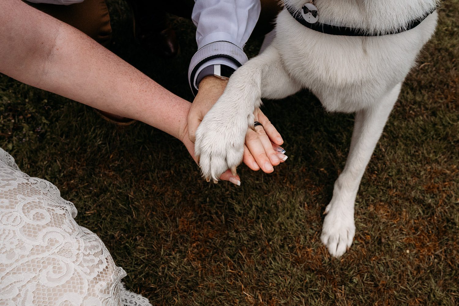 bride and groom holding dogs paw showing off their wedding rings