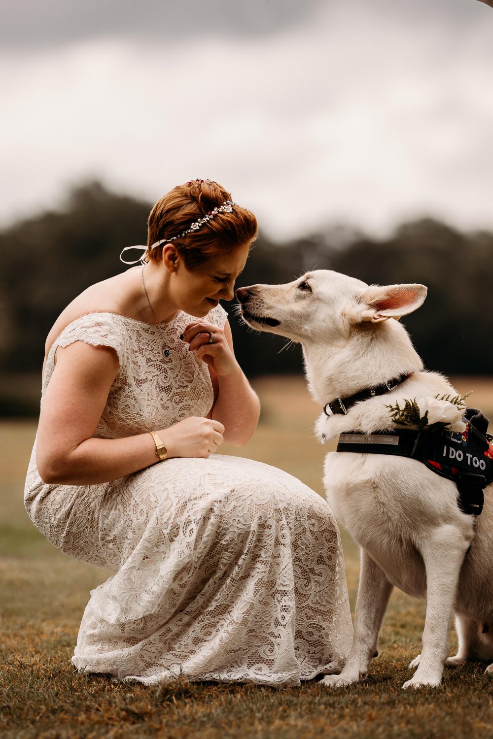 white german shepherd giving bride a kiss on the cheek